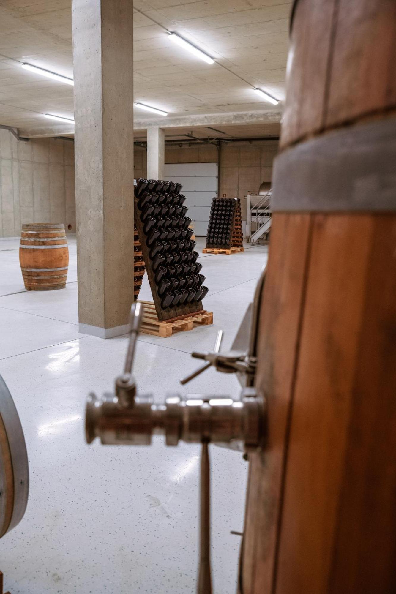 Posestvo Scurek Wine Bed & Breakfast Dobrovo Exterior foto