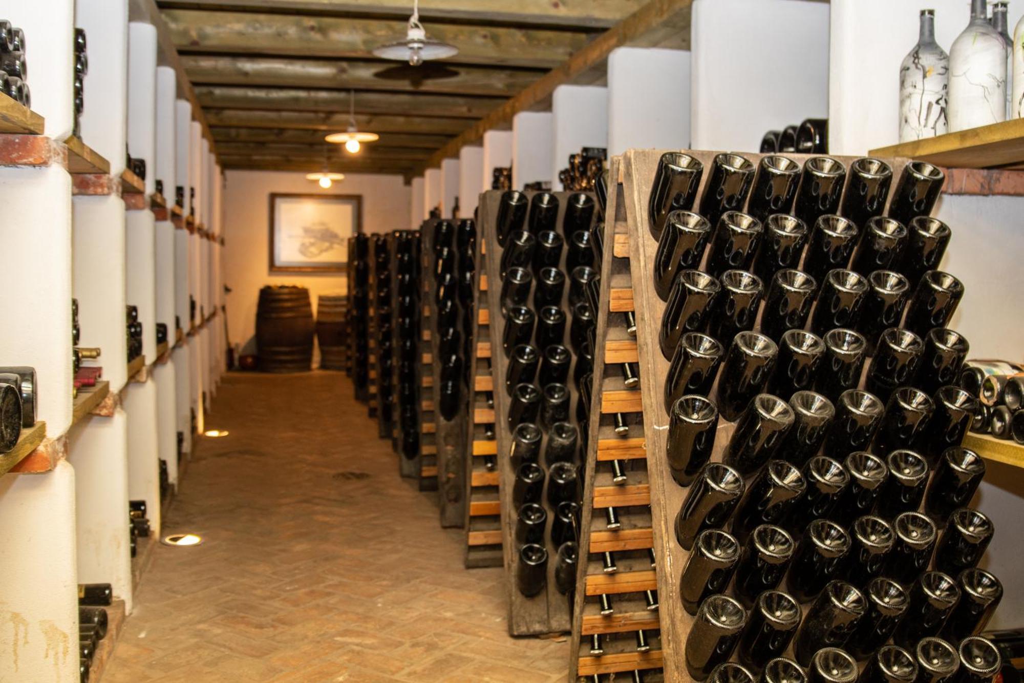 Posestvo Scurek Wine Bed & Breakfast Dobrovo Exterior foto