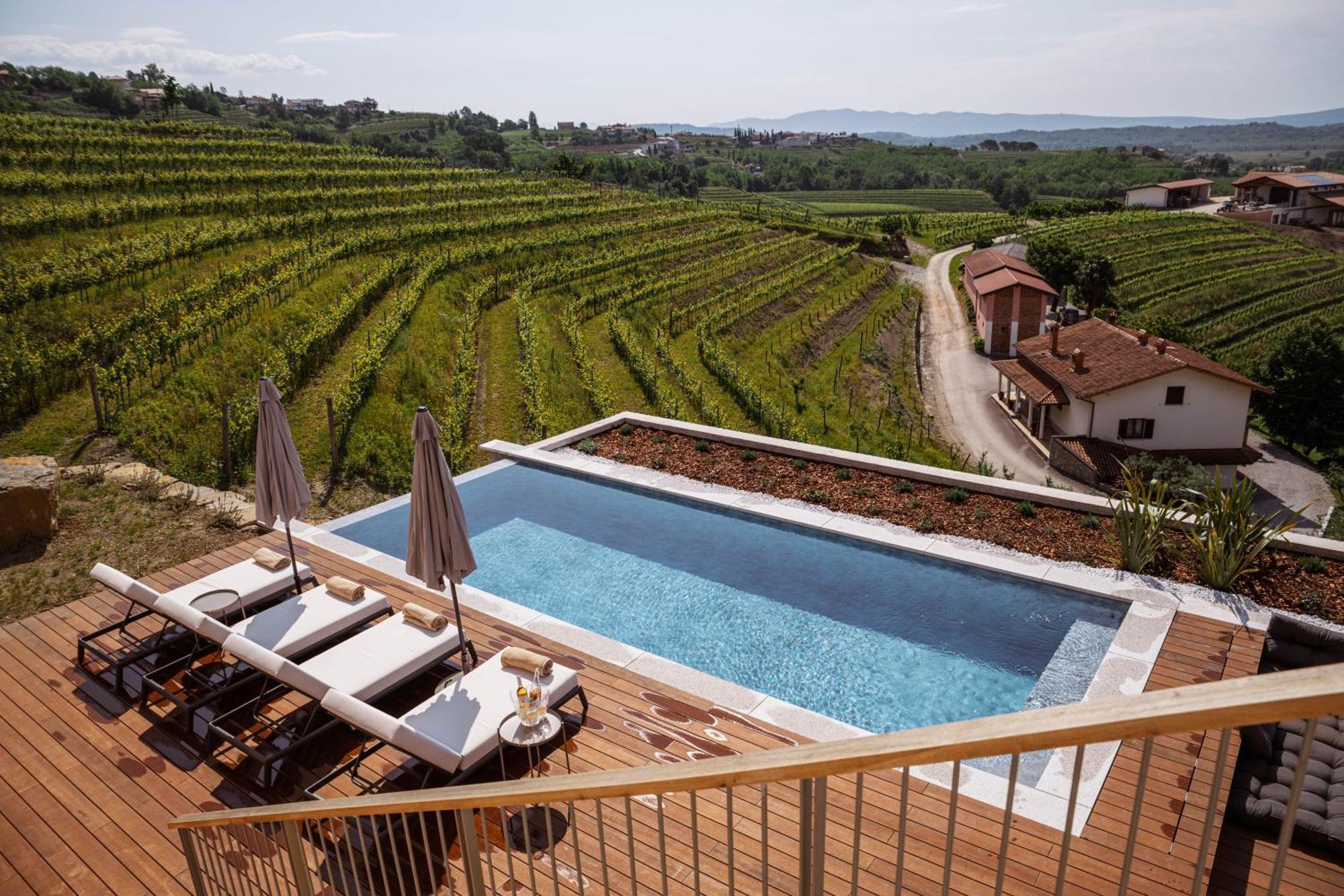 Posestvo Scurek Wine Bed & Breakfast Dobrovo Exterior foto
