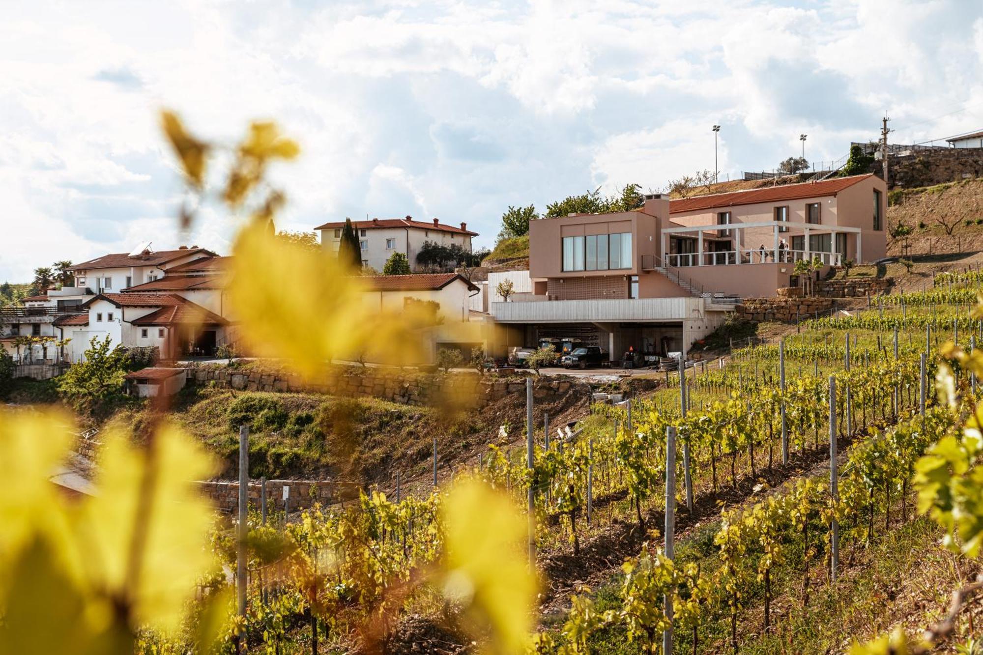 Posestvo Scurek Wine Bed & Breakfast Dobrovo Exterior foto