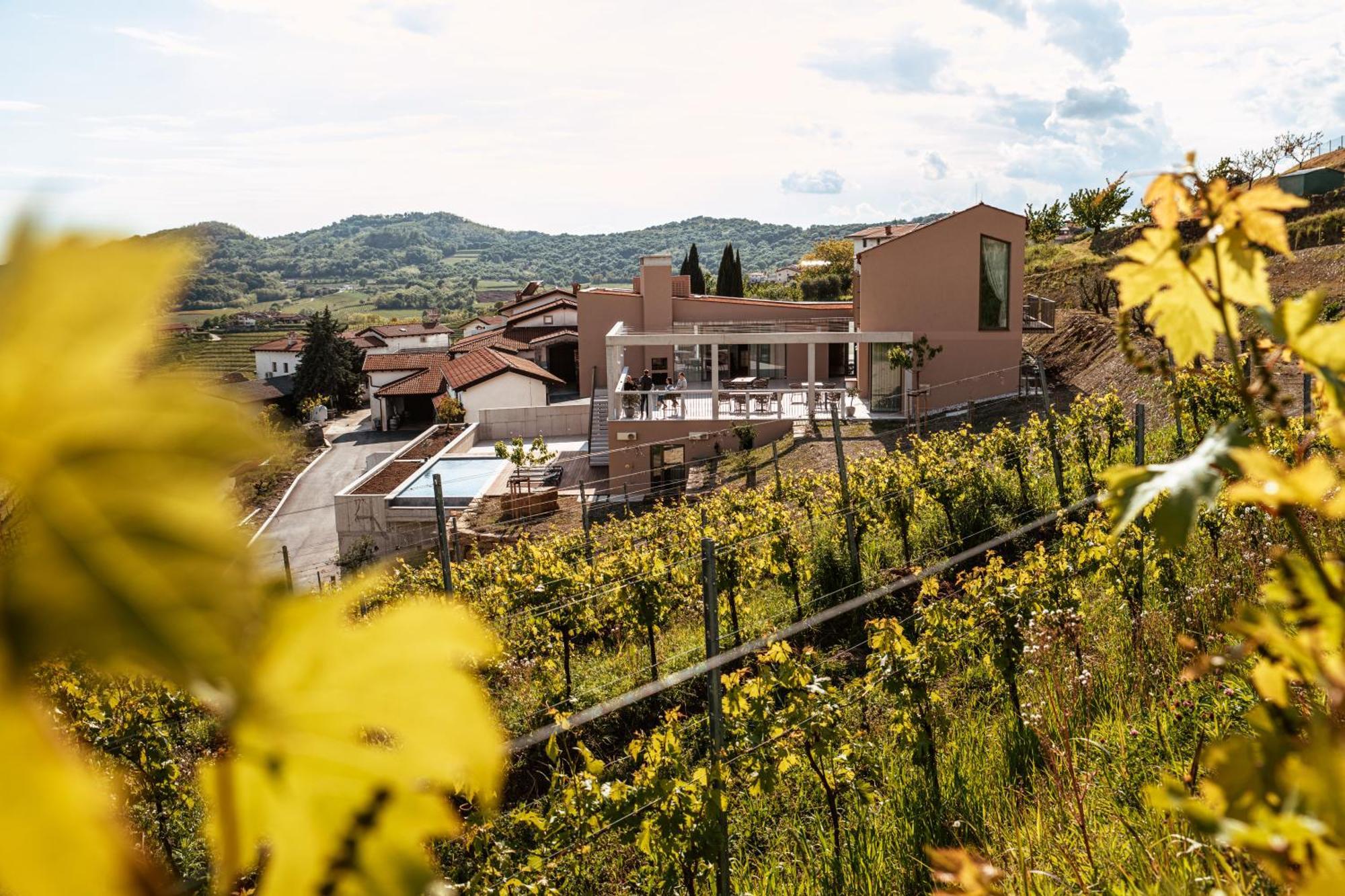 Posestvo Scurek Wine Bed & Breakfast Dobrovo Exterior foto